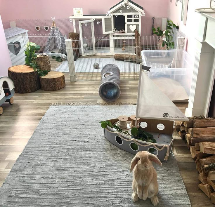 How-To: Rabbit Cage & Pen Setup