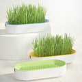 Hydroponic Grass Seed Planter - 1ct