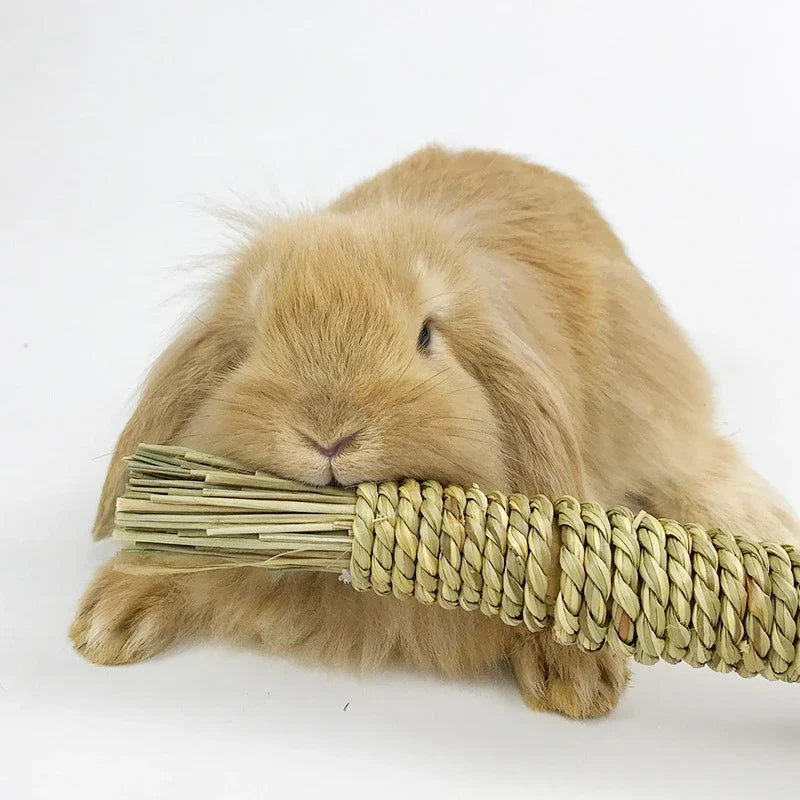 Natural Dried Grass Carrot Chew