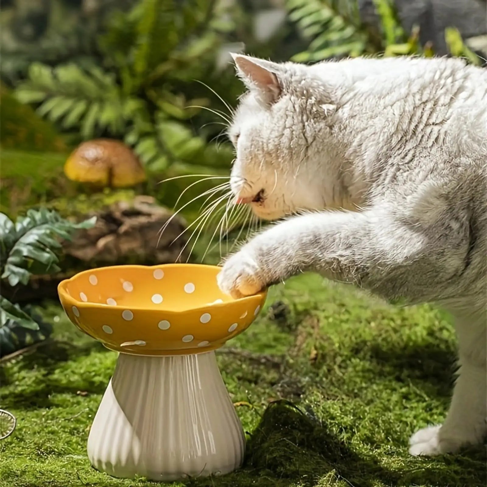 Ceramic Elevate Mushroom Food Bowl