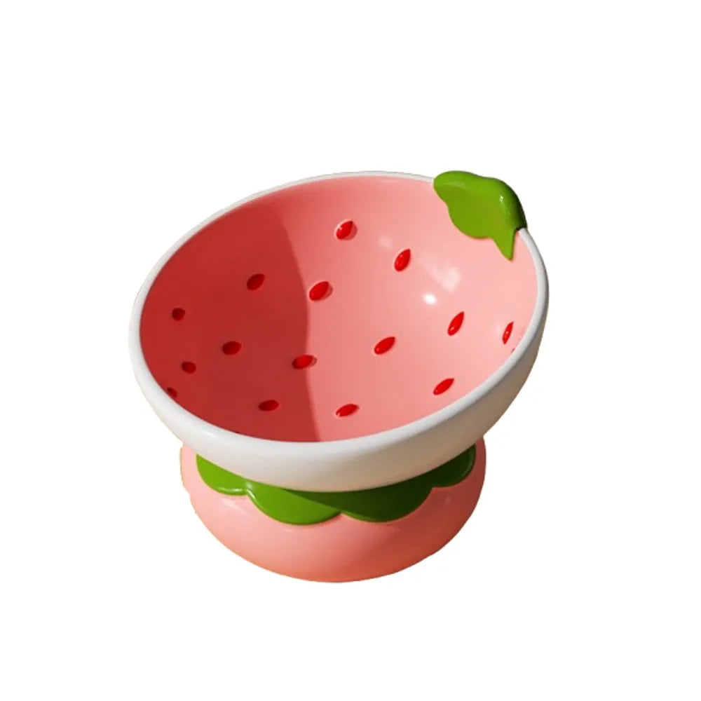 Ceramic Raised Fruit Food/Water Bowl