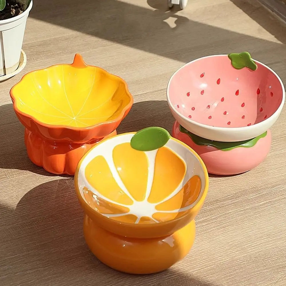 Ceramic Raised Fruit Food/Water Bowl