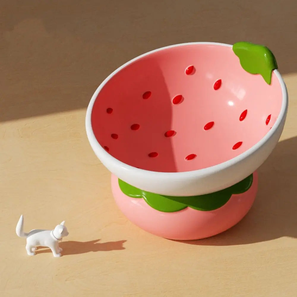 Ceramic Raised Fruit Food/Water Bowl