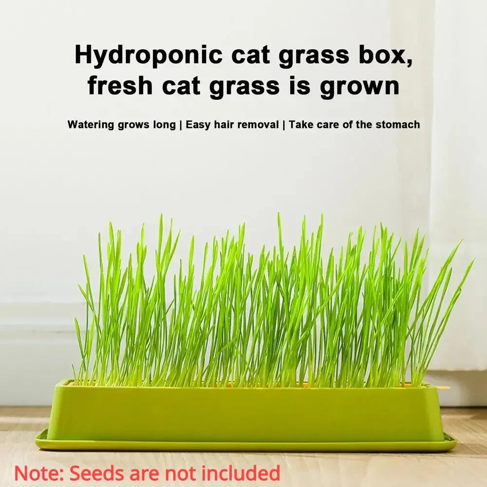 Rectangular Hydroponic Grass Seed Planter