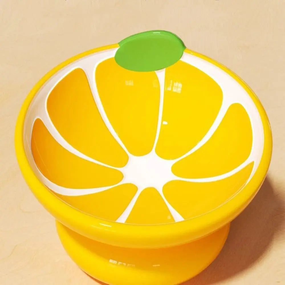 Ceramic Raised Fruit Food/Water Bowl
