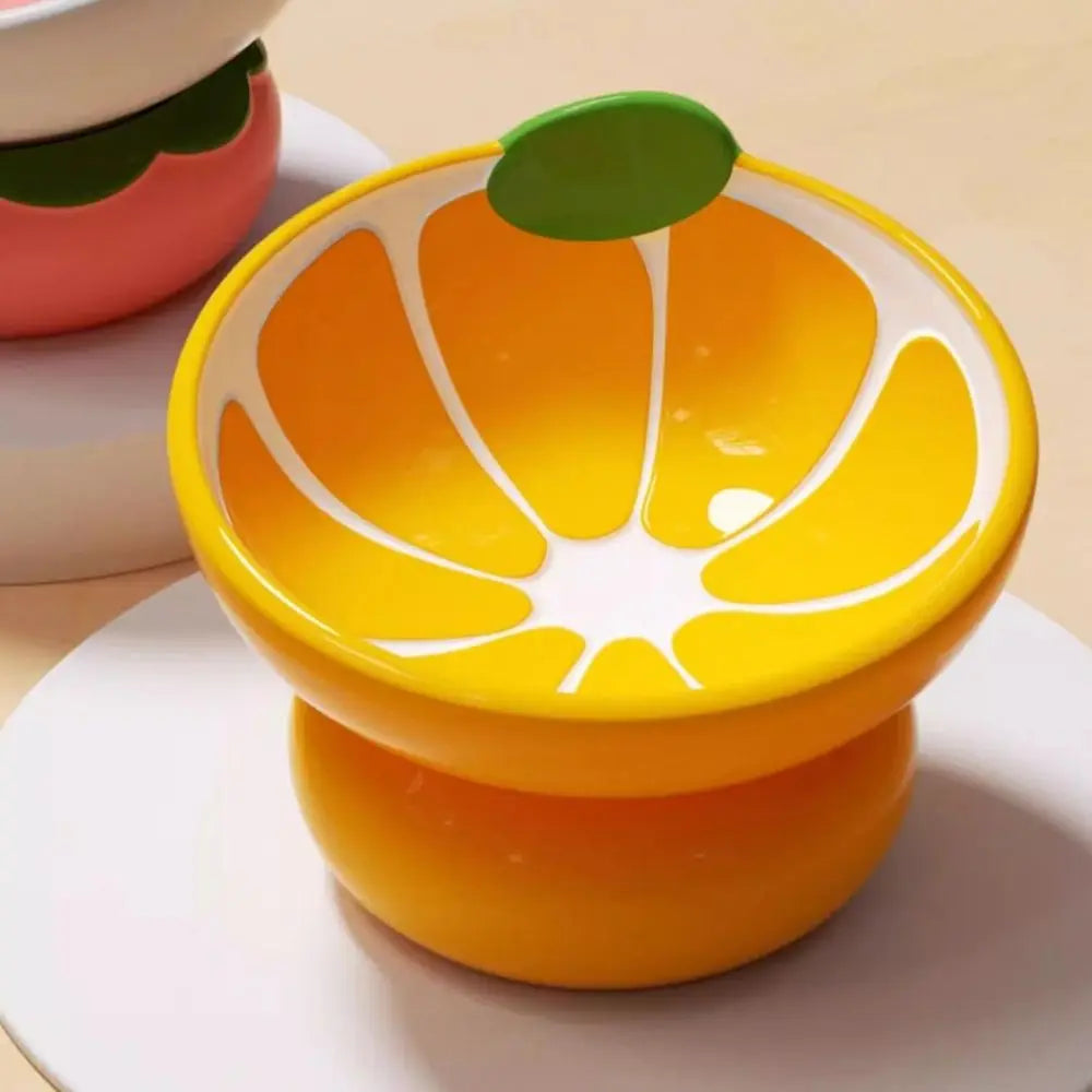 Ceramic Raised Fruit Food/Water Bowl