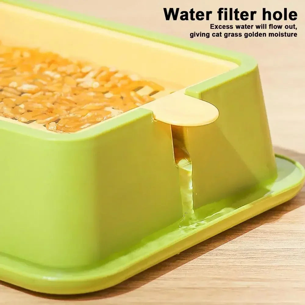 Rectangular Hydroponic Grass Seed Planter