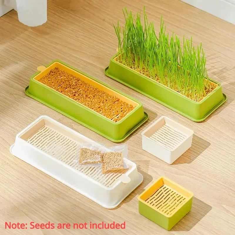 Rectangular Hydroponic Grass Seed Planter