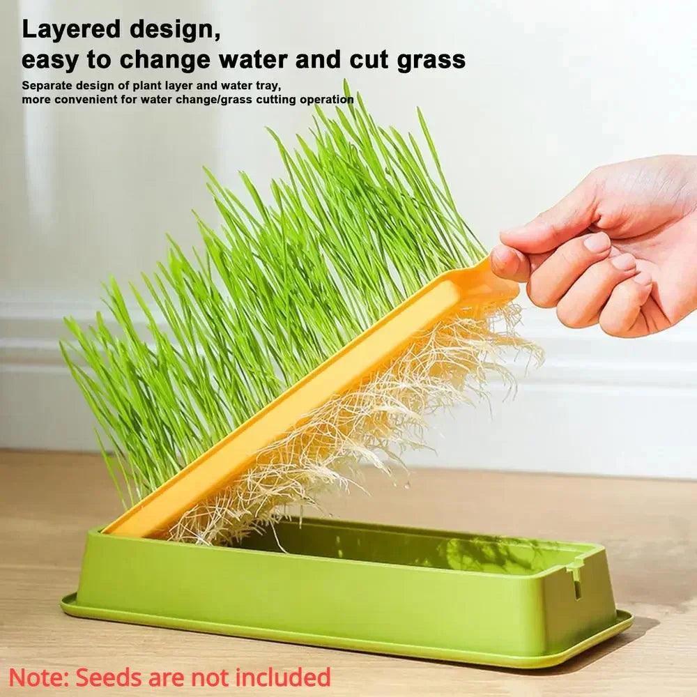 Rectangular Hydroponic Grass Seed Planter
