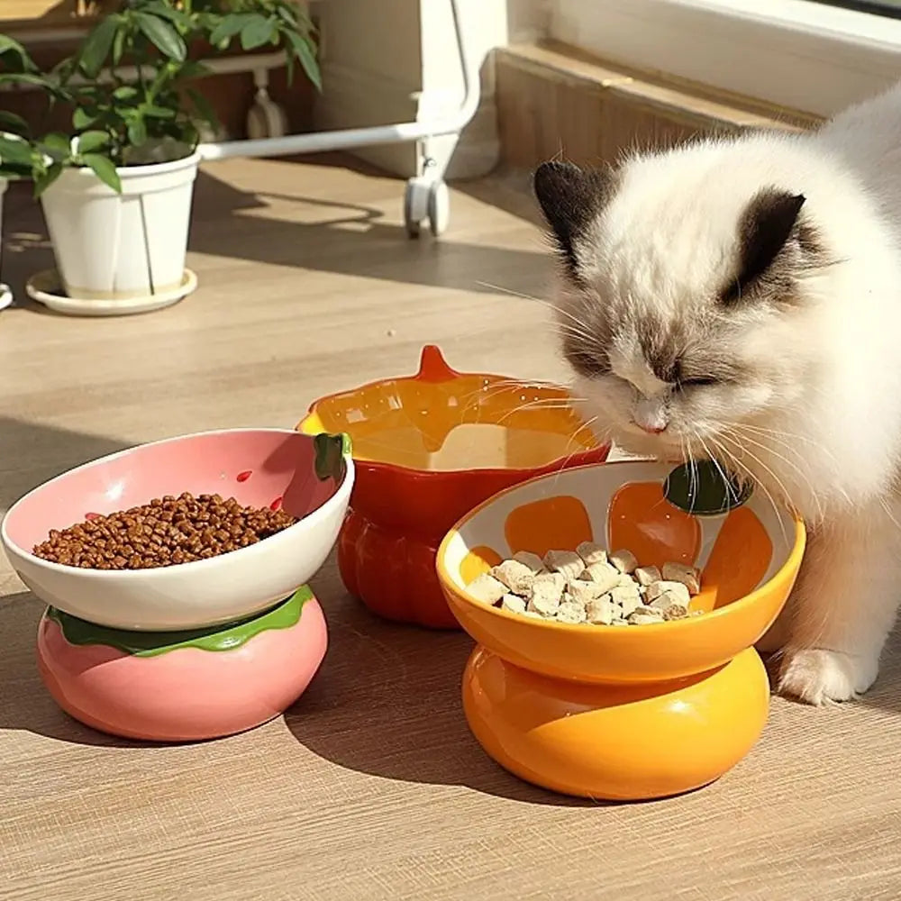 Ceramic Raised Fruit Food/Water Bowl