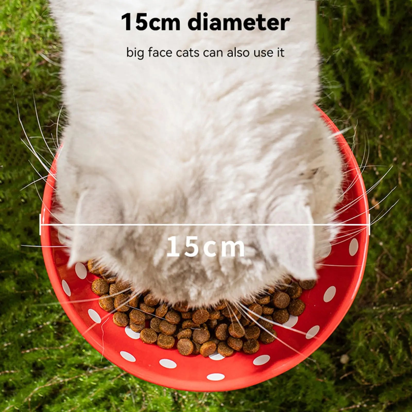 Ceramic Elevate Mushroom Food Bowl
