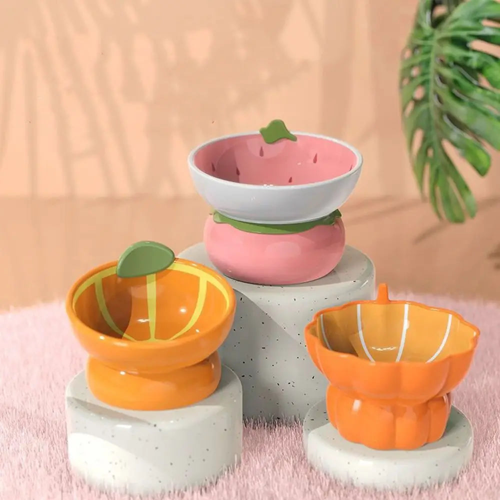 Ceramic Raised Fruit Food/Water Bowl