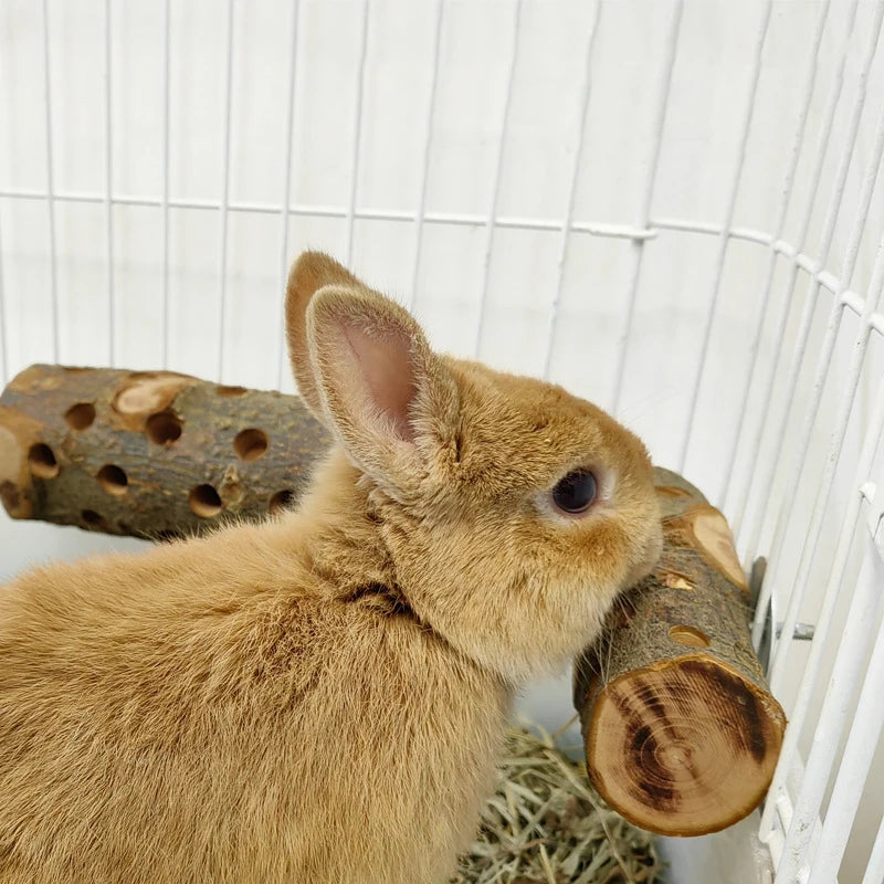 Natural Apple Wood Treat/Feed Holder Chew Log - 1ct