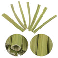 Natural Dried Papaya Stem Chew Sticks - 100g