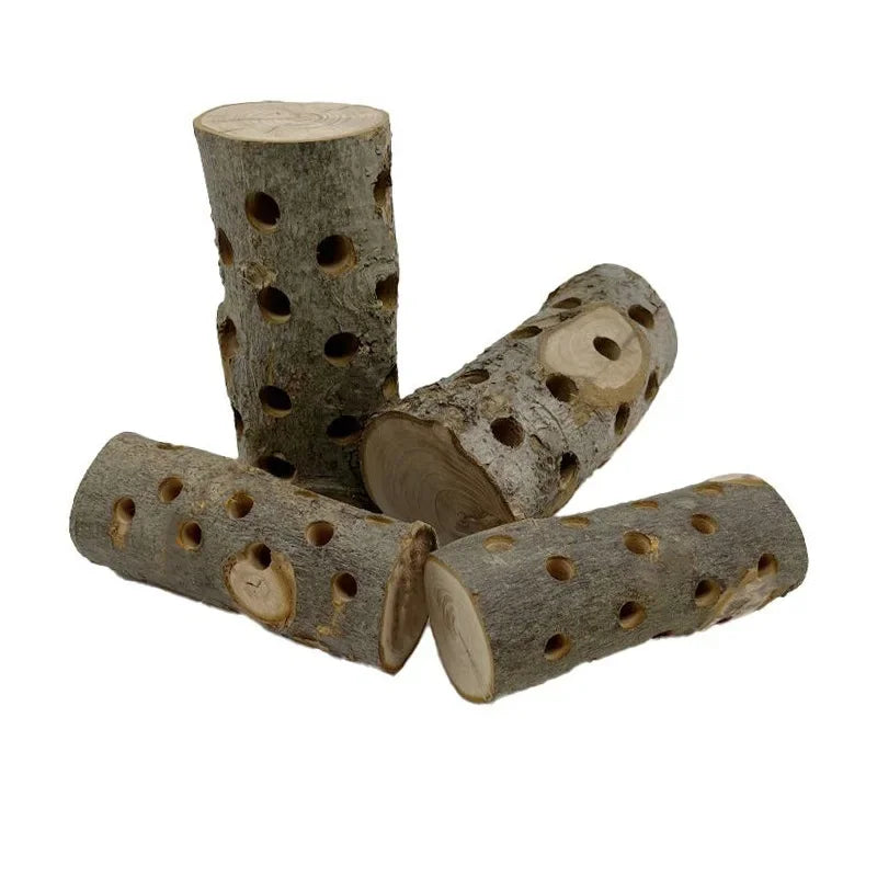 Natural Apple Wood Treat/Feed Holder Chew Log - 1ct